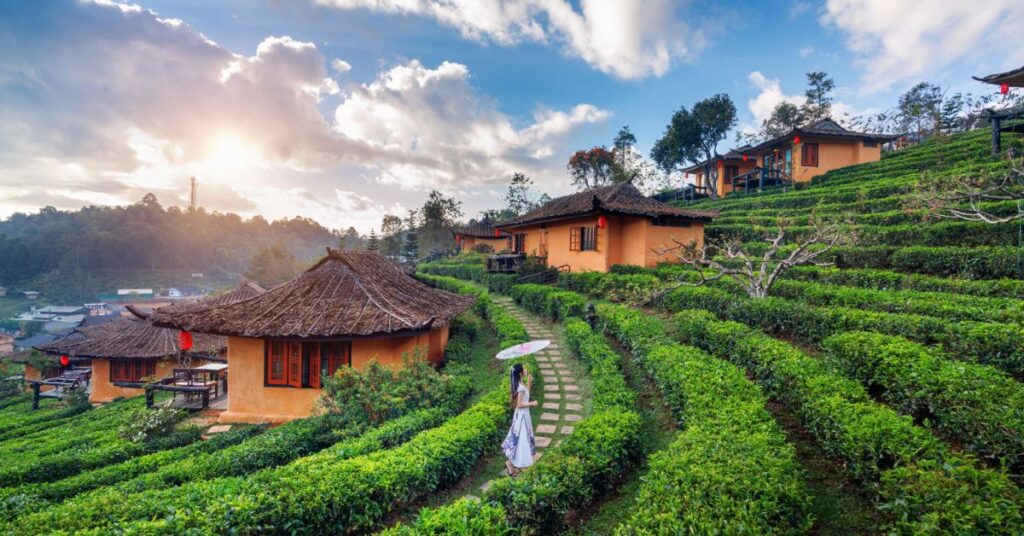 Coorg