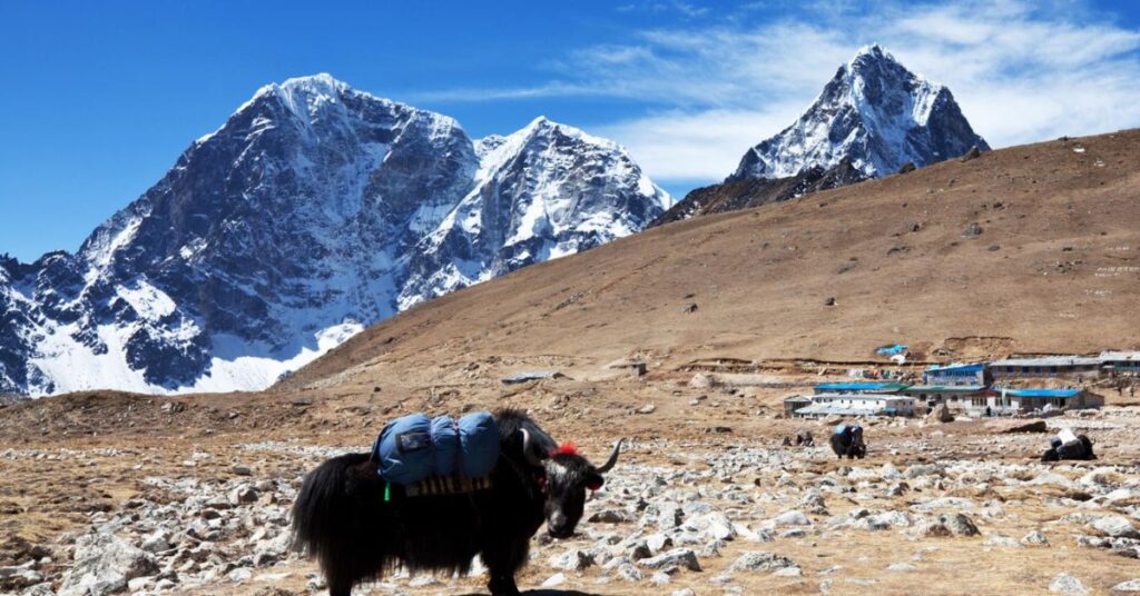Nepal