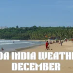 Goa India Weather December: The Perfect Month to Discover Paradise