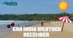 Read more about the article Goa India Weather December: The Perfect Month to Discover Paradise