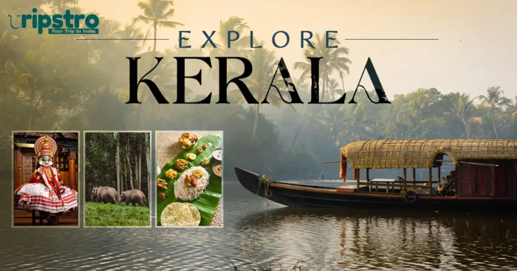 Best Month To Visit Kerala