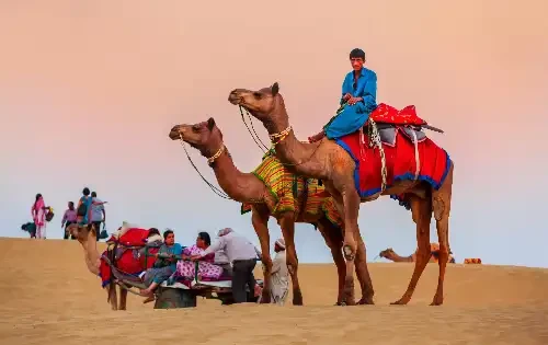 Camel Safari Tour