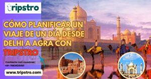 Read more about the article Cómo planificar un viaje de un día desde Delhi a Agra con Tripstro