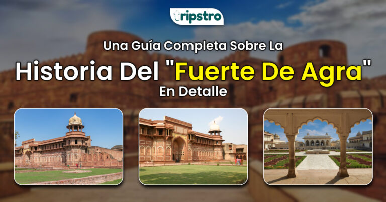 Read more about the article Una Guía Completa Sobre La Historia Del Fuerte De Agra En Detalle