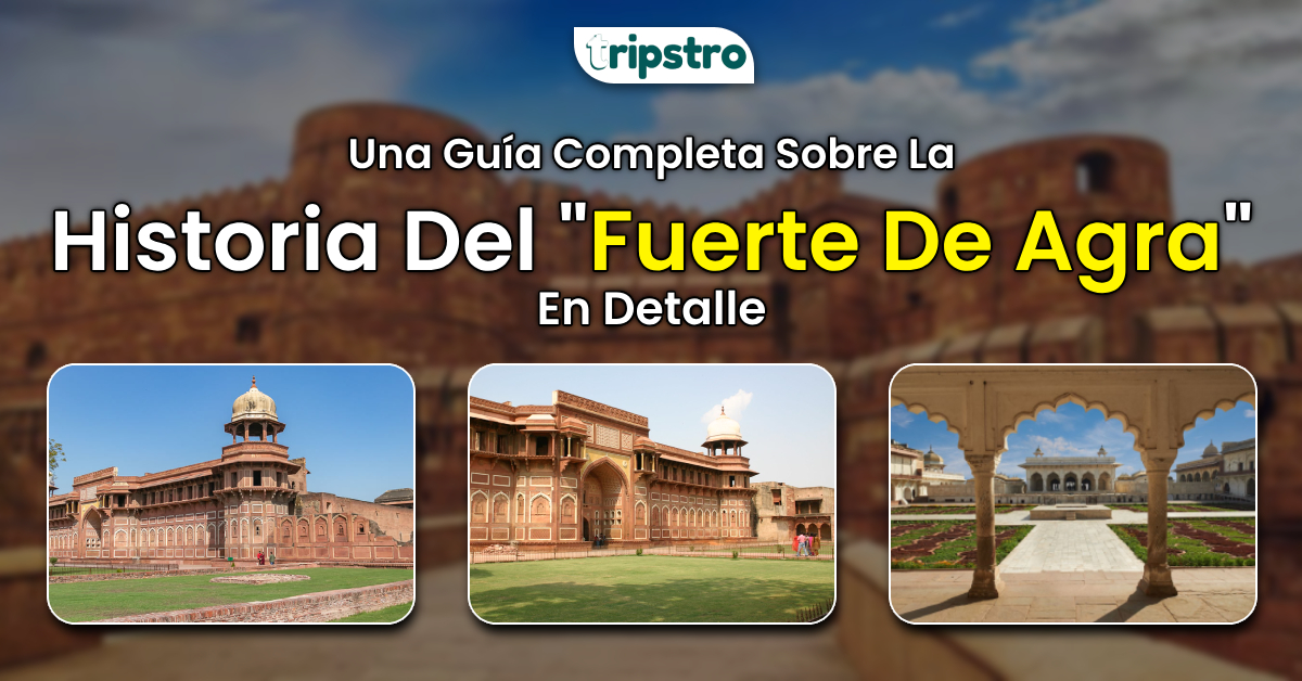 You are currently viewing Una Guía Completa Sobre La Historia Del Fuerte De Agra En Detalle