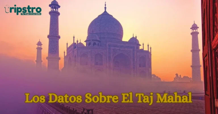 Read more about the article Los Datos Sobre El Taj Mahal Que Pocos Turistas Conocen