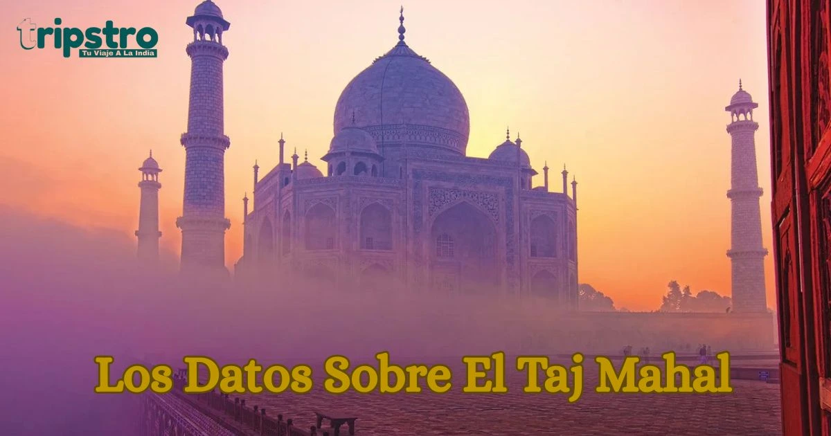 You are currently viewing Los Datos Sobre El Taj Mahal Que Pocos Turistas Conocen