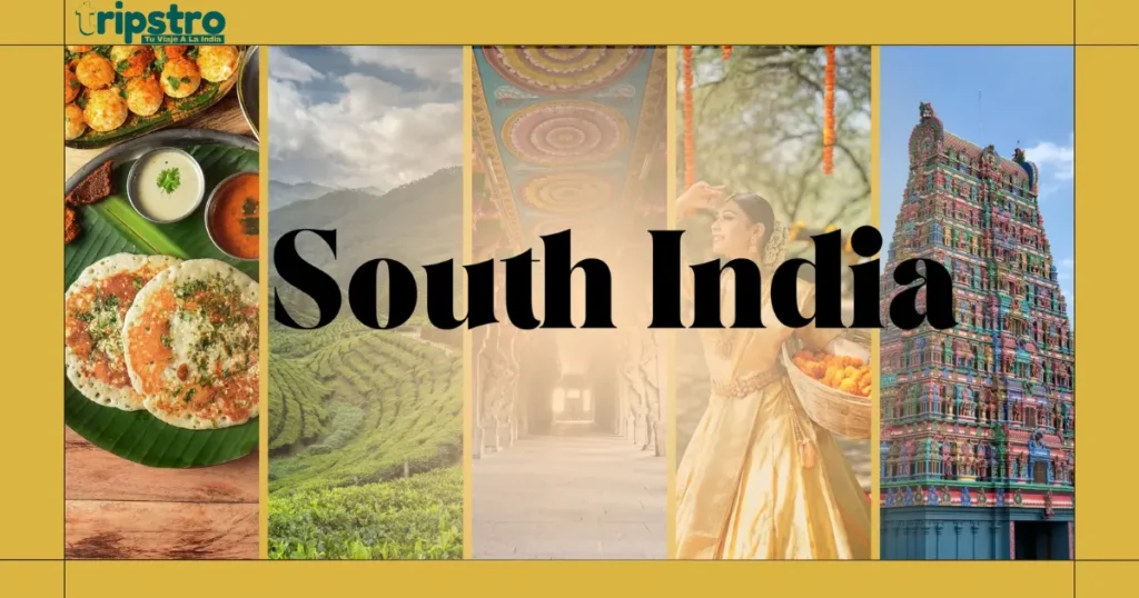 Paquete De Viaje Al Sur De La India