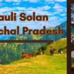 Kasauli Solan Himachal Pradesh: Guía Completa 2026 Tripstro